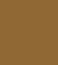 Ochre Brown RAL 8001
