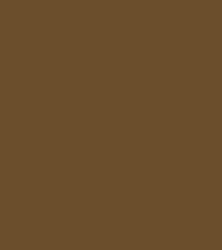 Olive Brown RAL 8008